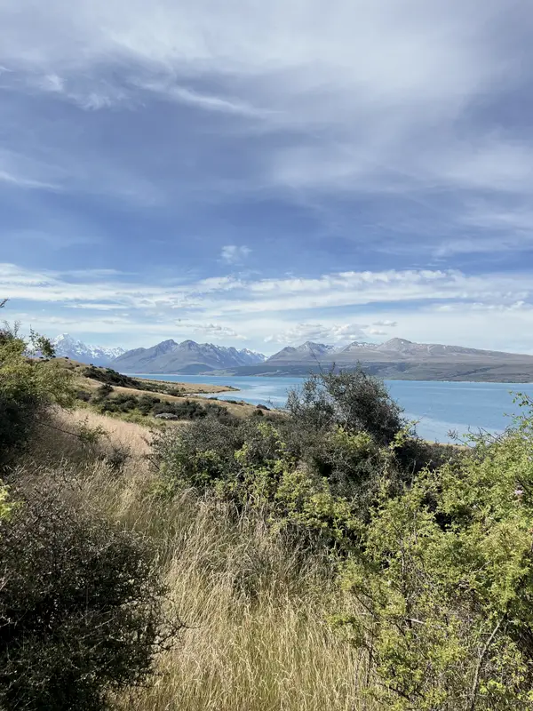 Scrub above a milky blue lake, the far shore fading into haze.