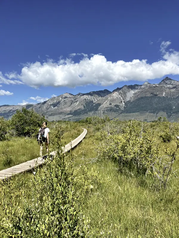 A boardwalk through tussock, a walker ahead and mountains at the end of it.