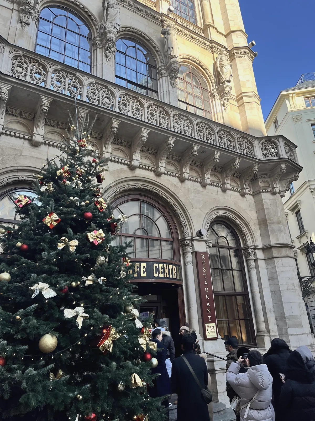 A Christmas tree outside a Vienna café, the facade rising behind it.