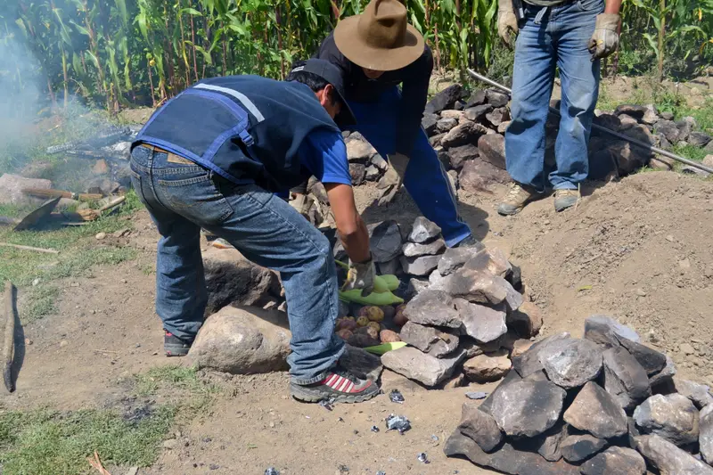 A pachamanca earth oven being built in a field above Cusco, food going in under hot stones.