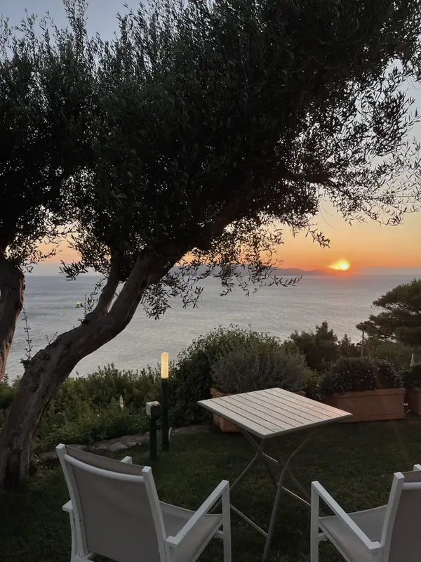 Sunset through an olive tree, table and chairs set out on the grass.