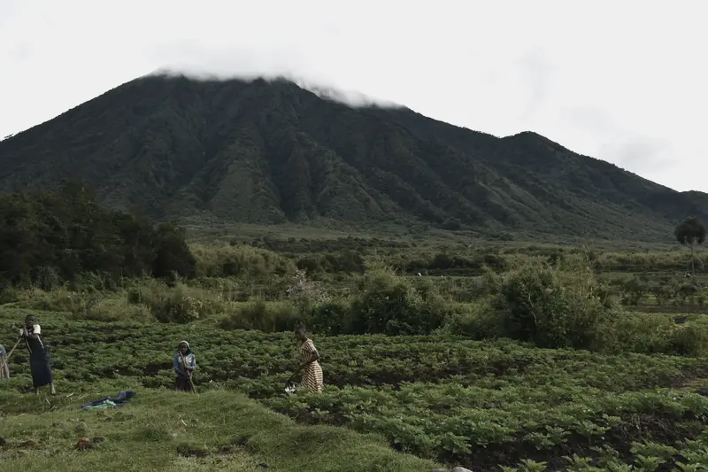 The Virunga volcanoes under cloud above terraced farmland at Kinigi, Rwanda, with farmers working the rows in the foreground.