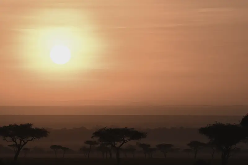 Sunrise over the Masai Mara, the sun clear of the horizon and acacias in silhouette along the skyline.