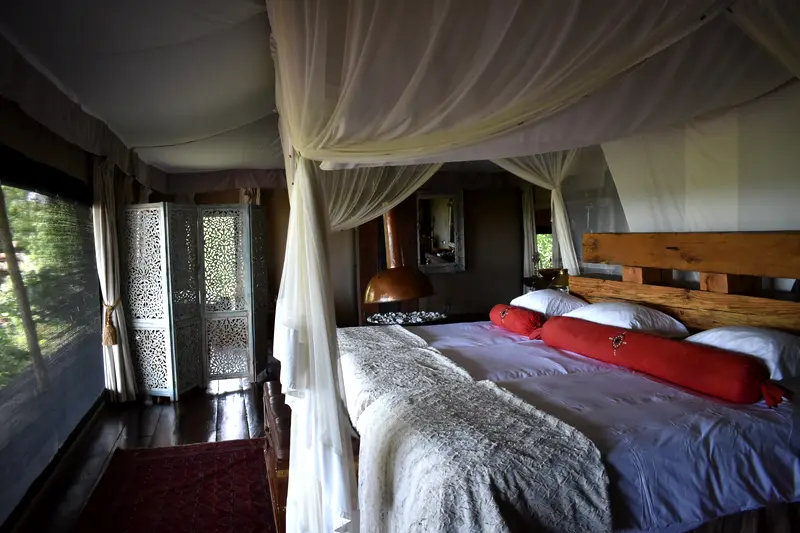 A tented suite in Botswana, mosquito netting over the bed and canvas walls open to the reserve.