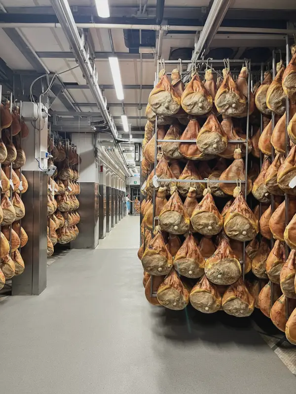 Prosciutto hanging the length of a curing room.