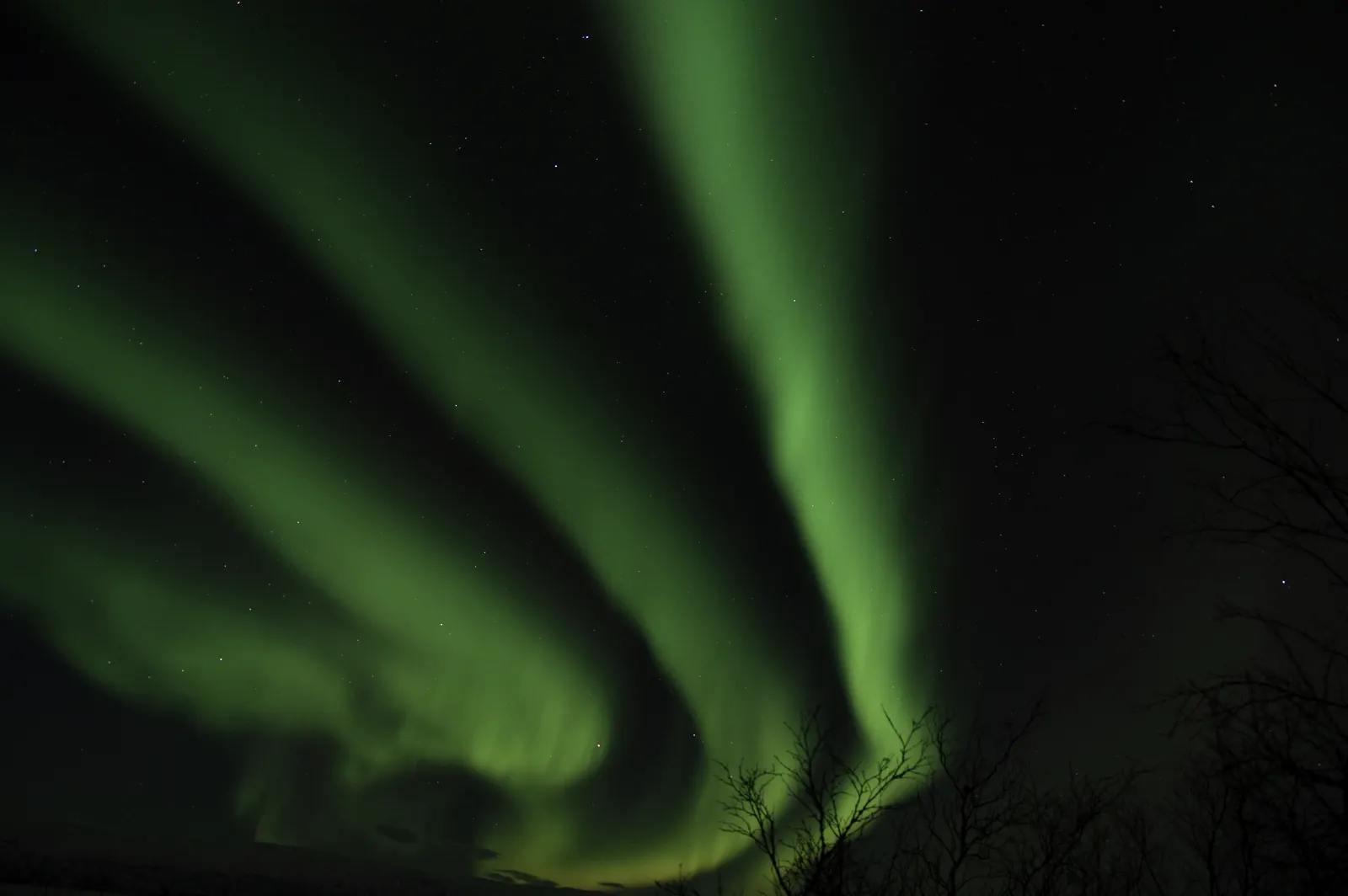 The aurora directly overhead at Abisko, green and bright enough to read by.