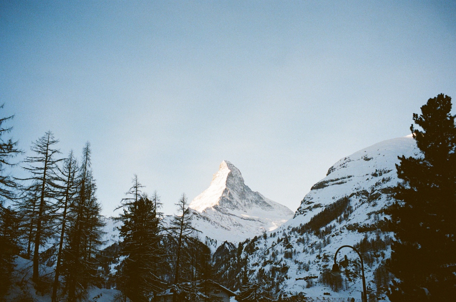 First light on the Matterhorn above the larches, seen from Zermatt